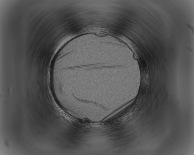 X0000097491147200803201525