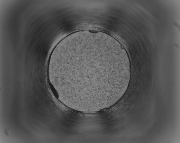 X0000097491152200803201525