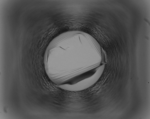 X0000097491153200803201524