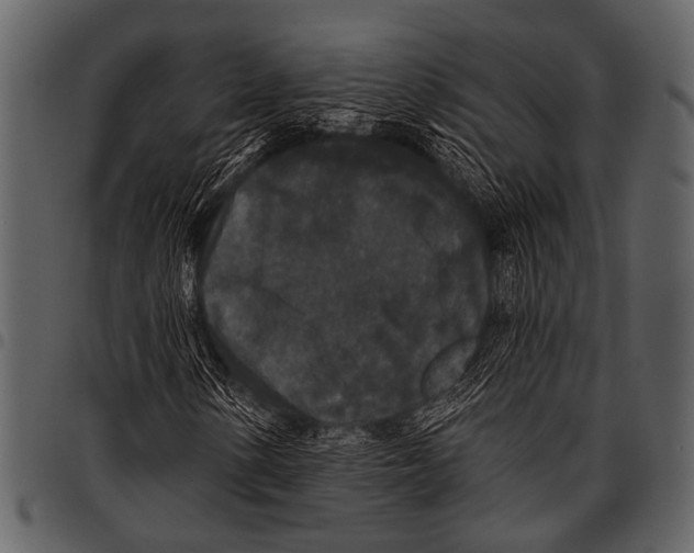 X0000097491154200803201524