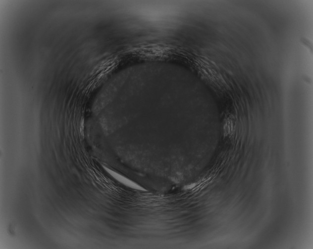 X0000097491156200803201524