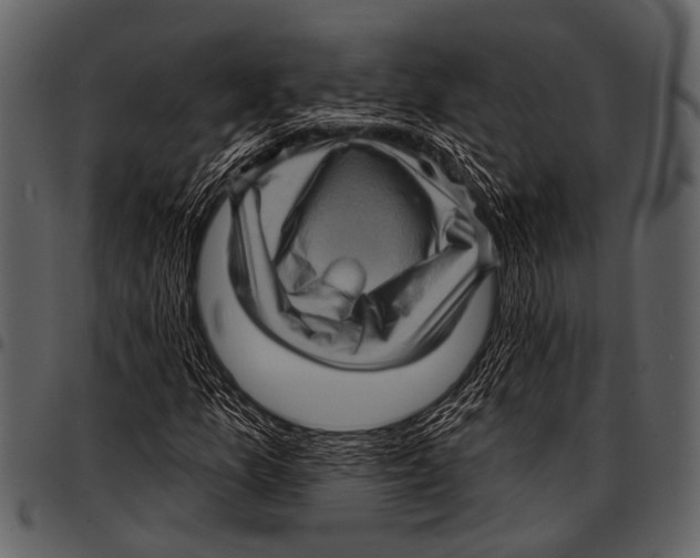 X0000097491157200803201524