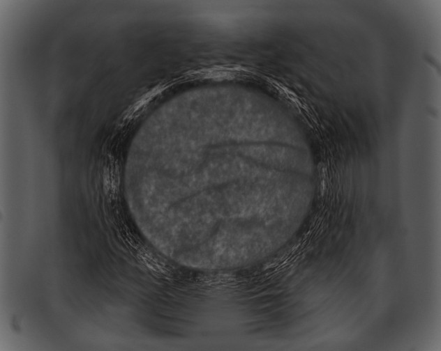 X0000097491158200803201524