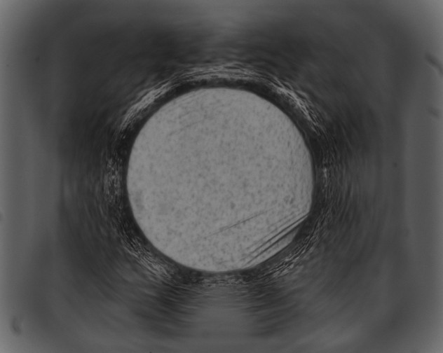 X0000097491159200803201524