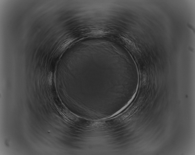 X0000097491161200803201524