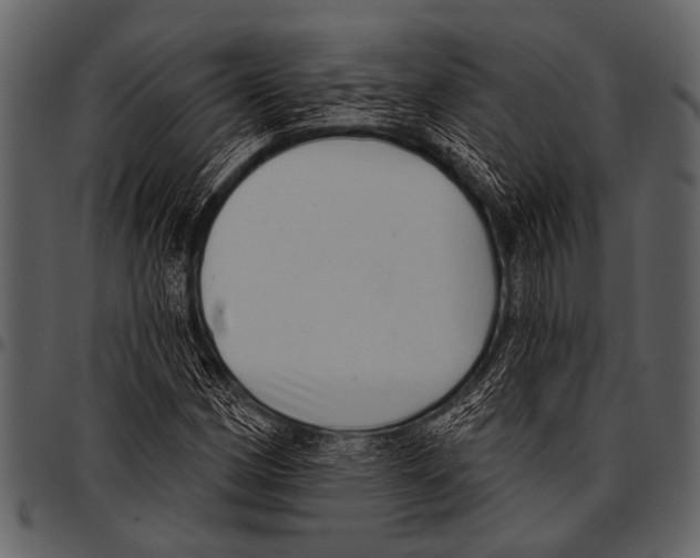 X0000097491162200803201524