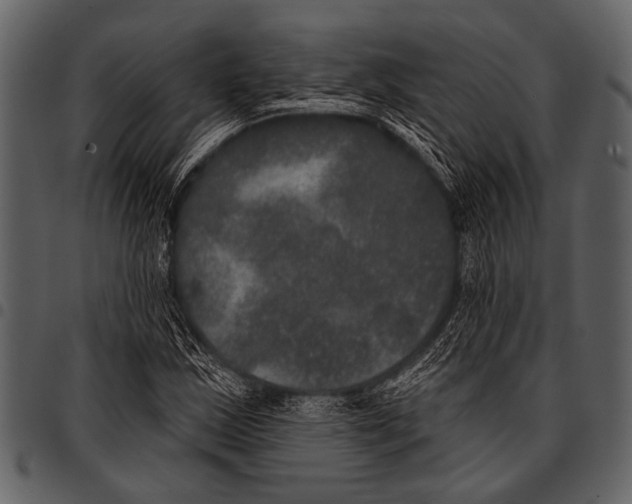 X0000097491163200803201524