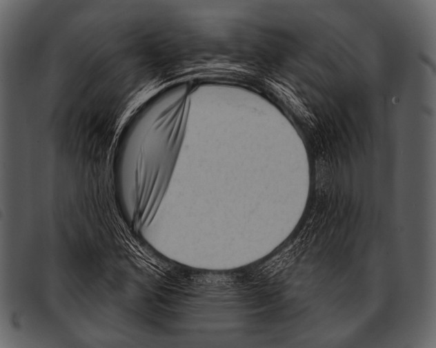 X0000097491164200803201524