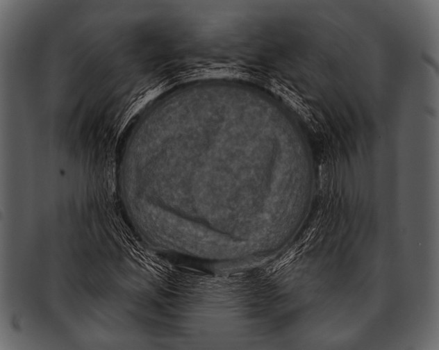 X0000097491165200803201524