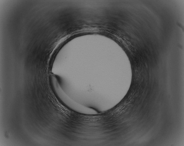 X0000097491168200803201524