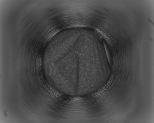 X0000097491169200803201524