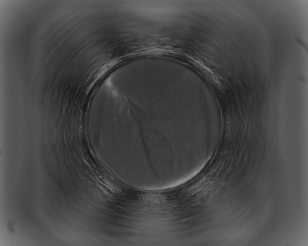 X0000097491170200803201524