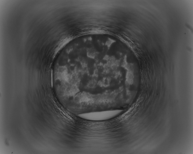 X0000097491171200803201524