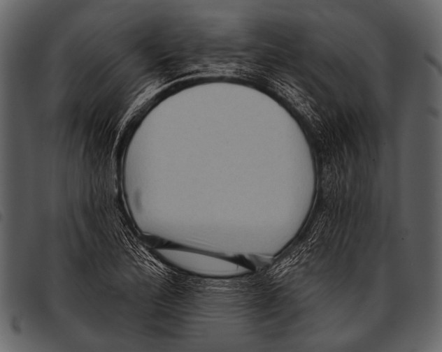 X0000097491172200803201524