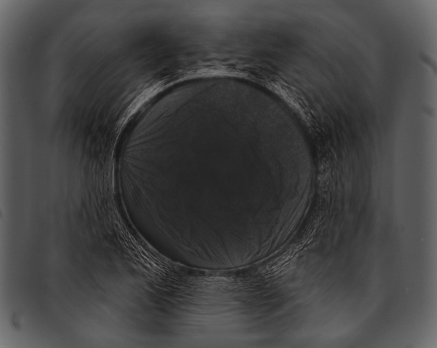 X0000097491173200803201524