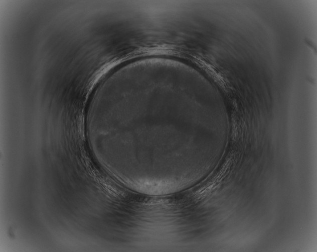 X0000097491174200803201524