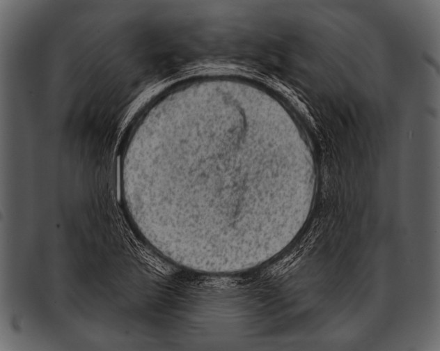 X0000097491175200803201524