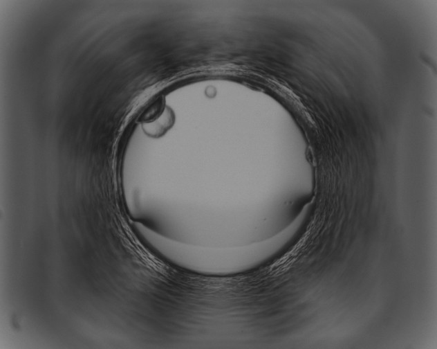 X0000097491176200803201524