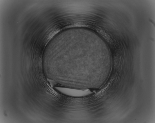 X0000097491177200803201524