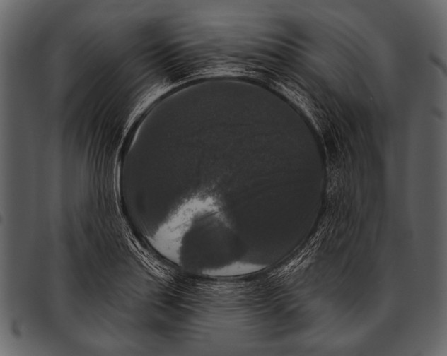 X0000097491179200803201524