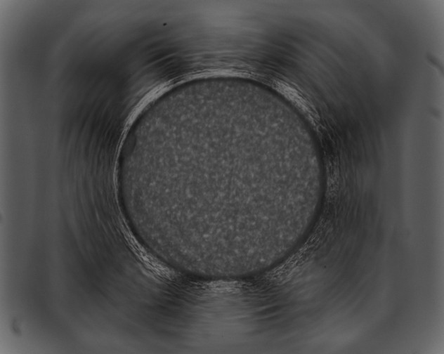 X0000097491181200803201524