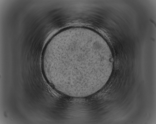 X0000097491183200803201524