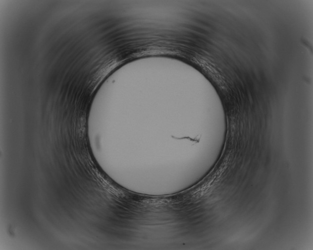 X0000097491185200803201524