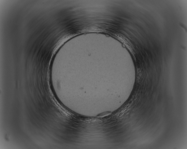 X0000097491187200803201524