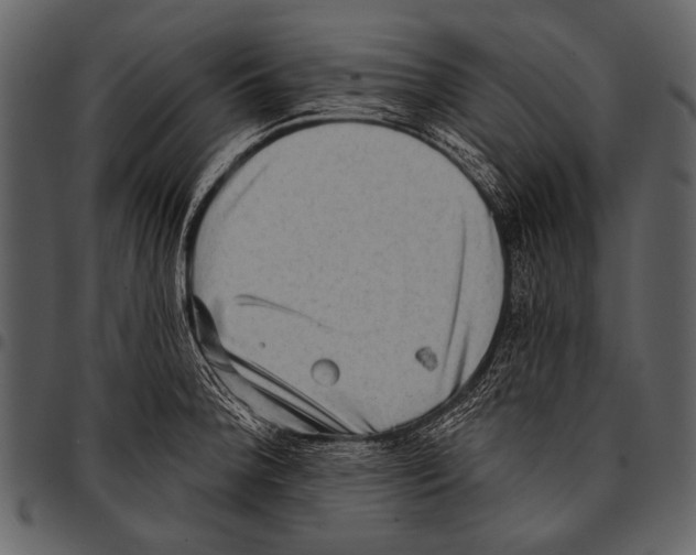 X0000097491188200803201524