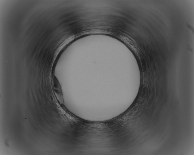 X0000097491189200803201524