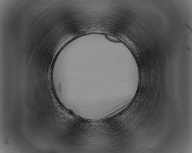 X0000097491190200803201524