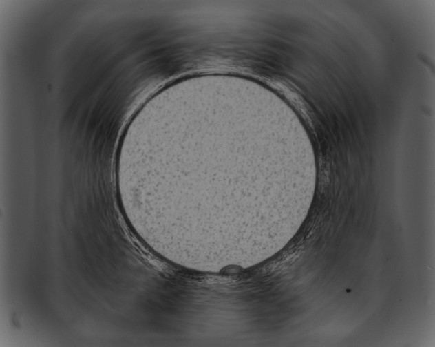 X0000097491191200803201524