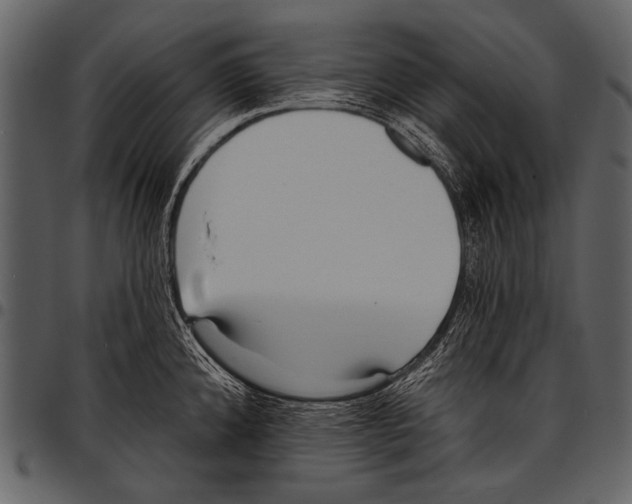 X0000097491192200803201524