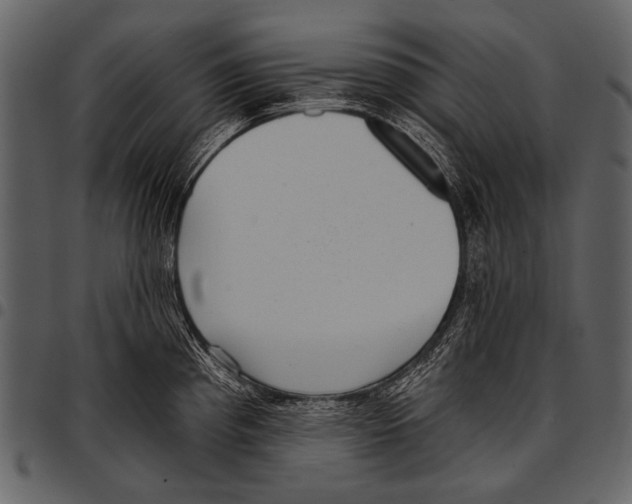 X0000097491193200803201524