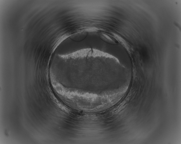 X0000097491194200803201524