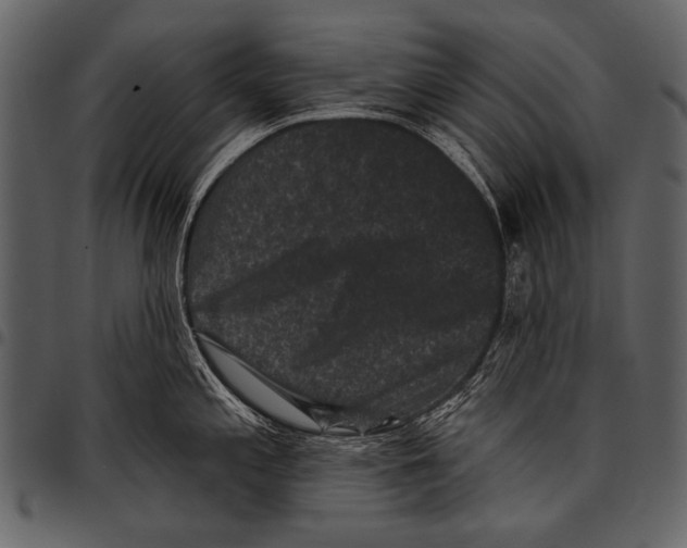 X0000097491197200803201524