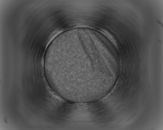 X0000097491198200803201524