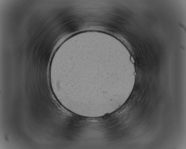 X0000097491199200803201524