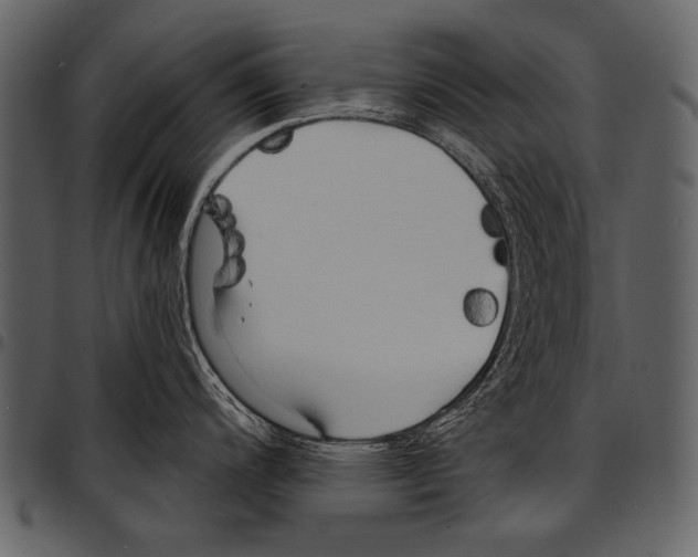 X0000097491200200803201524