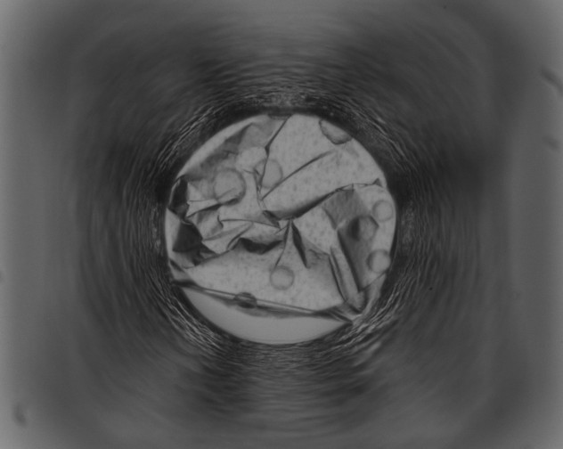 X0000097491202200803201523