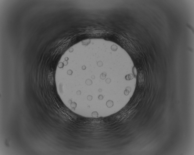 X0000097491204200803201523