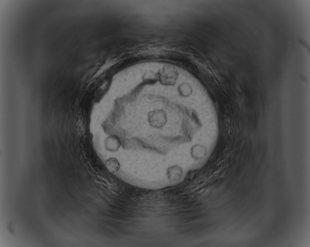 X0000097491206200803201523