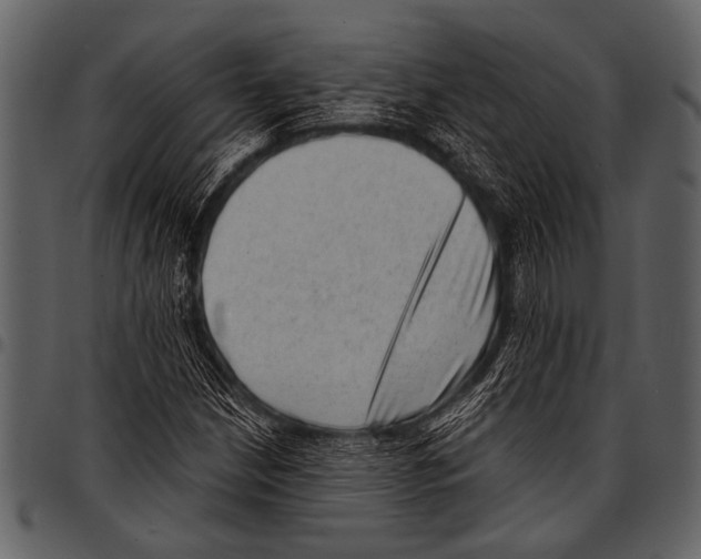 X0000097491210200803201523