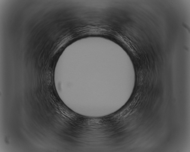 X0000097491211200803201523