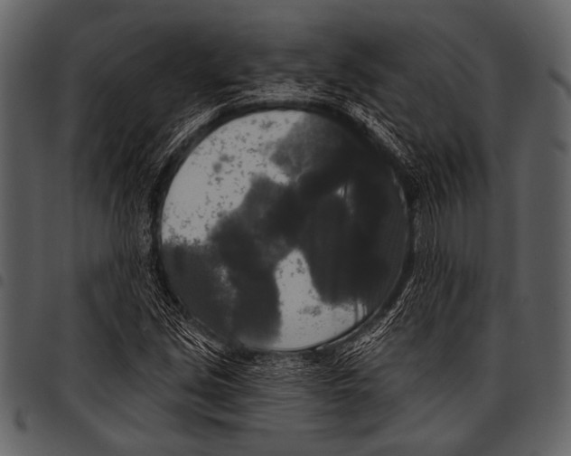 X0000097491213200803201523