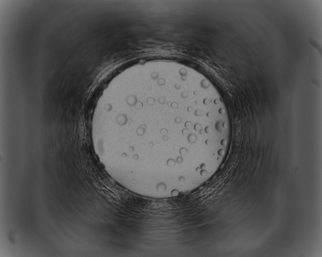 X0000097491215200803201523