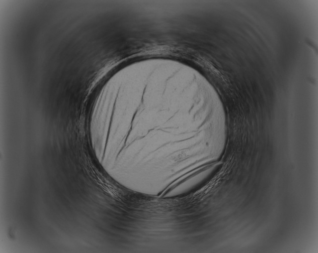 X0000097491216200803201523