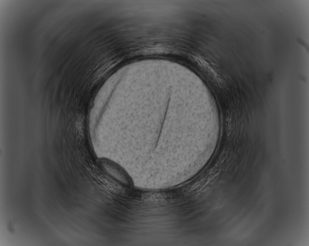 X0000097491217200803201523