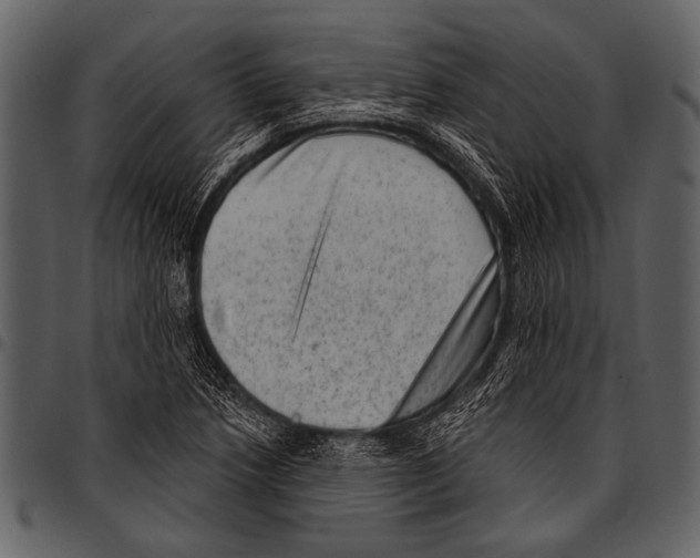 X0000097491218200803201523