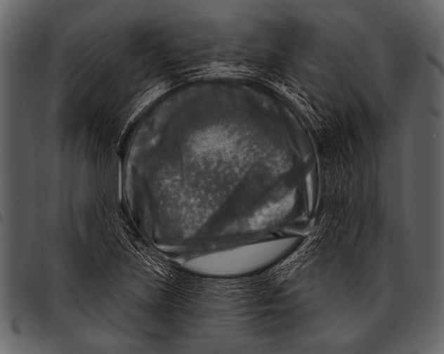 X0000097491219200803201523